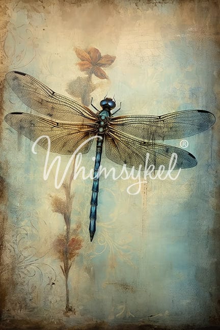 Timeless Dragonfly