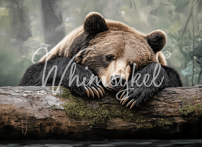 Tuckered Teddy | 18 lb Decoupage Tissue Paper | 29x21